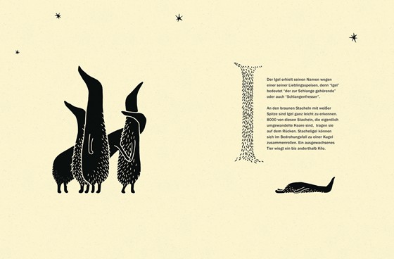 Рисунки: igel