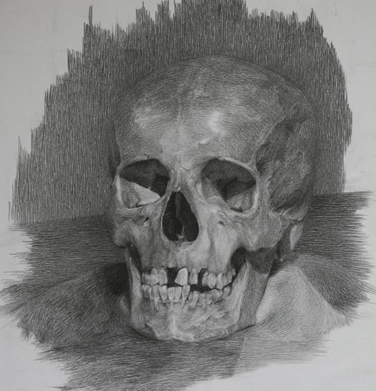 Рисунки: череп