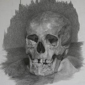 Рисунки: череп